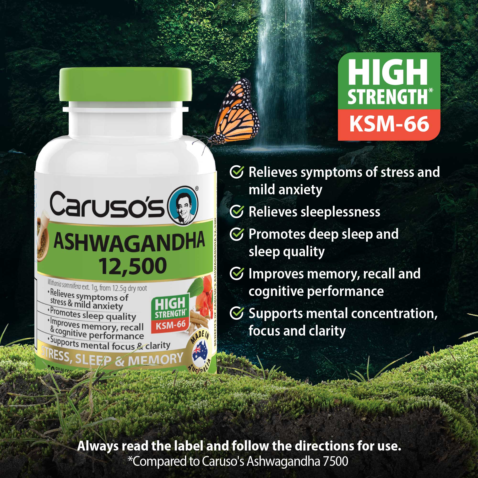 Caruso's Ashwagandha 12,500 - Image 3