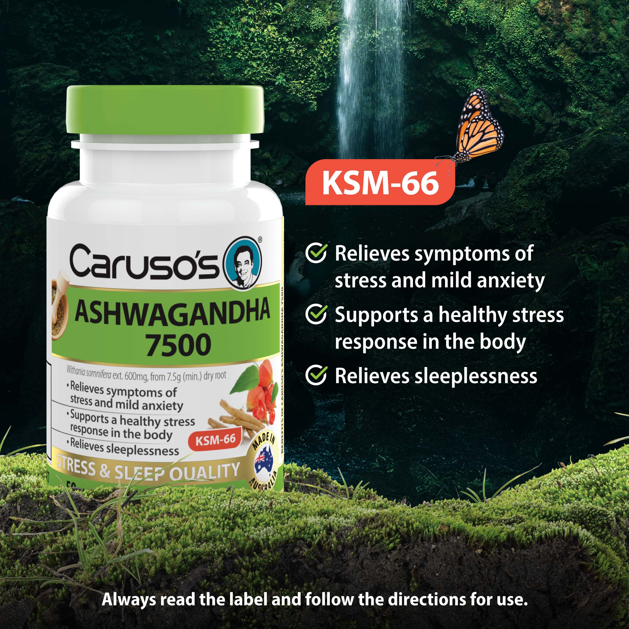 Caruso's Ashwagandha 7500 - Image 3