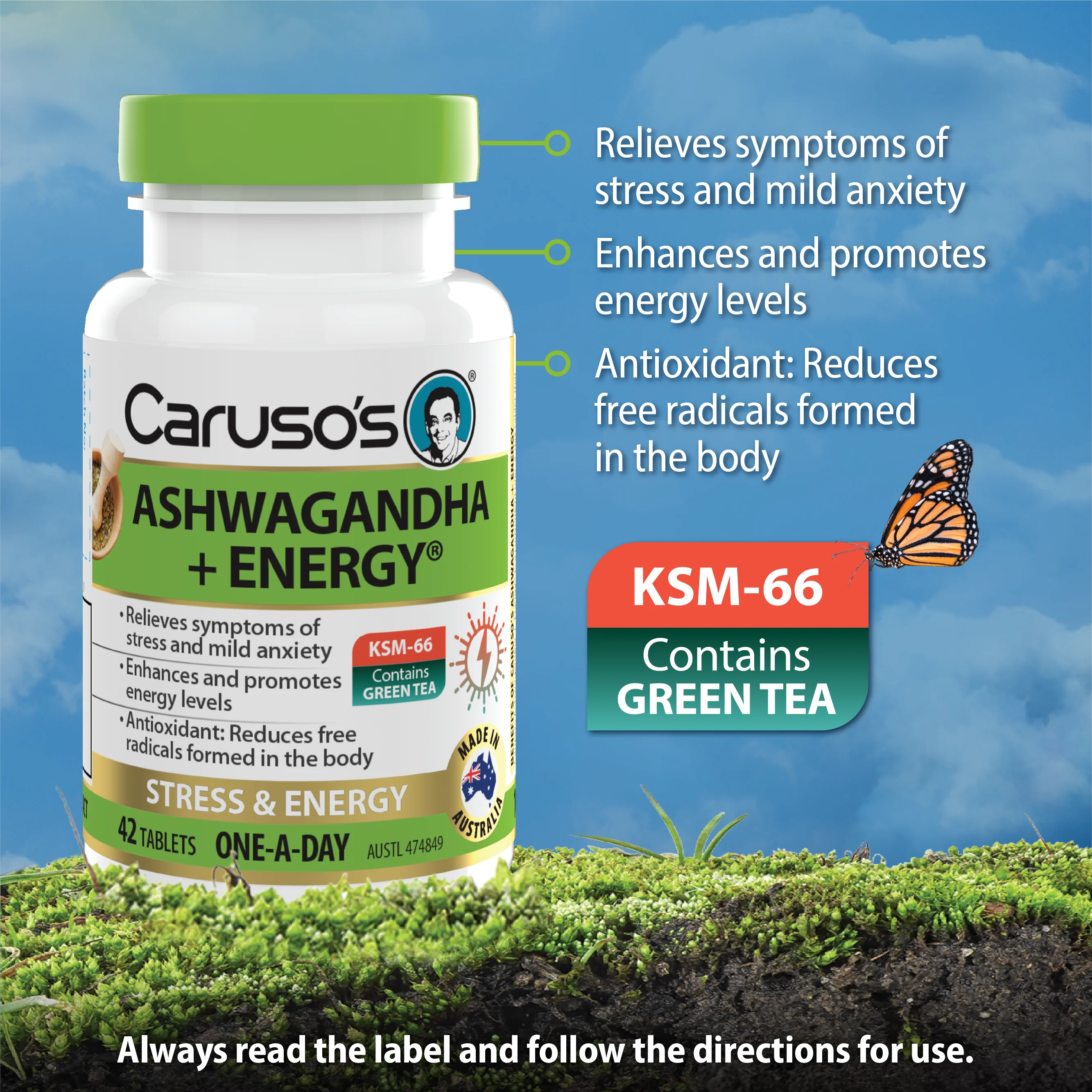 Caruso's Ashwagandha + Energy - Image 3