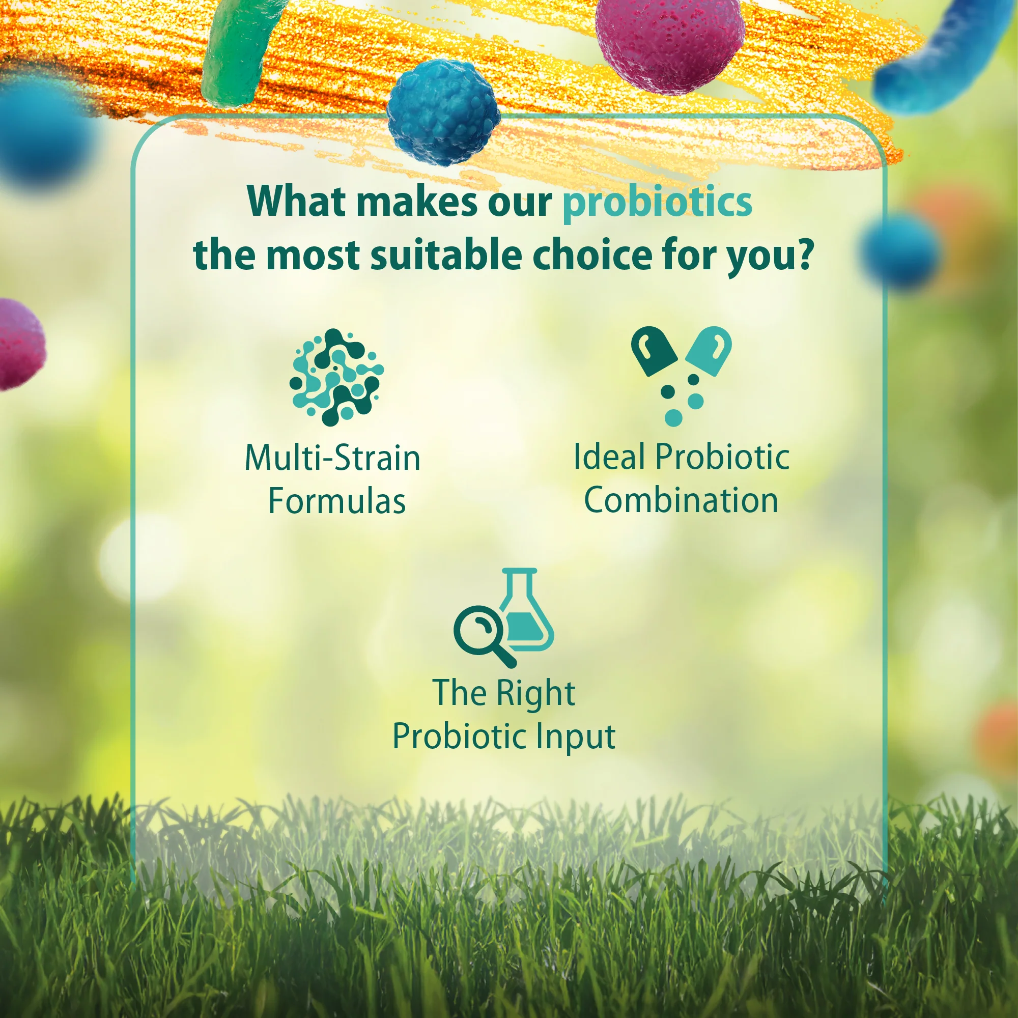 Caruso's IBS Fighter Probiotic - Image 4
