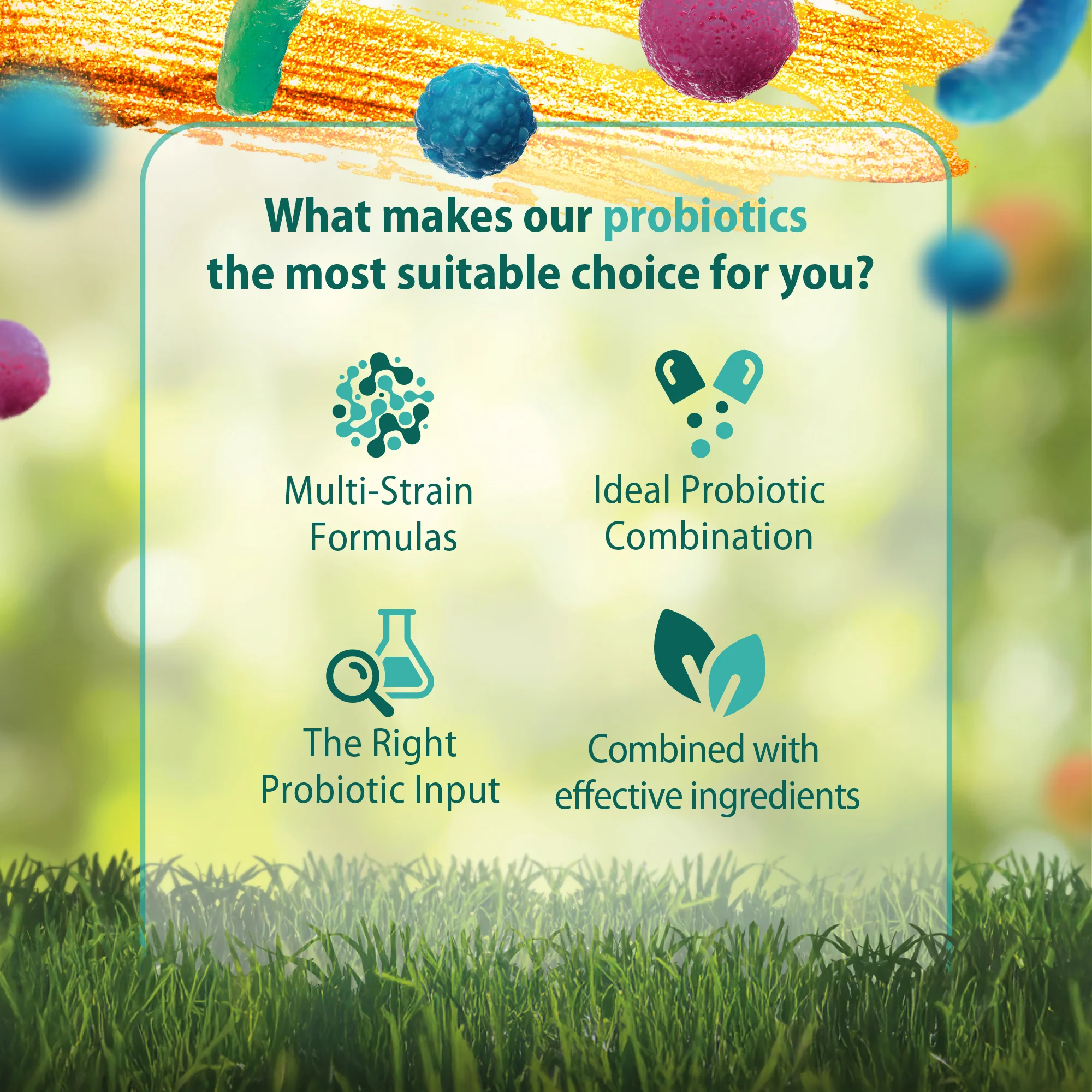 Caruso's Poo EZE® Probiotic - Image 3