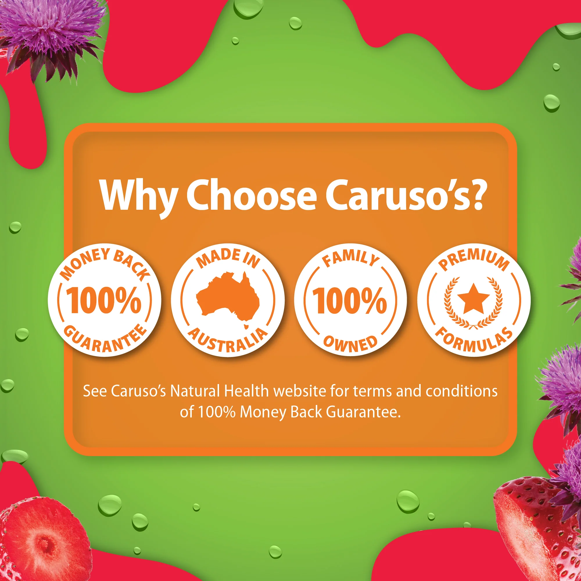 Caruso's Milk Thistle Gummies - Image 6